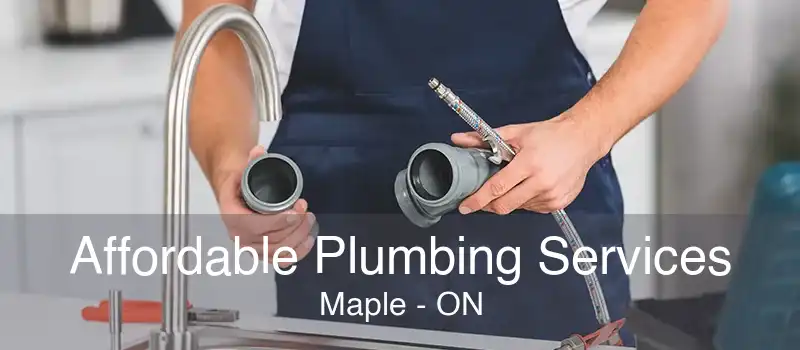 Affordable Plumbing Services Maple - ON