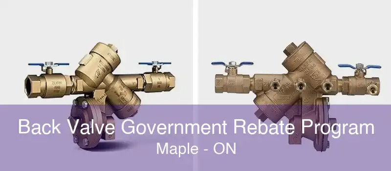 Back Valve Government Rebate Program Maple - ON