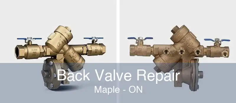 Back Valve Repair Maple - ON