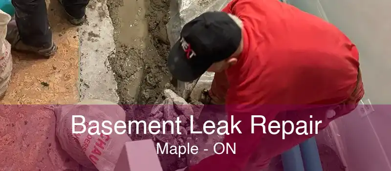 Basement Leak Repair Maple - ON