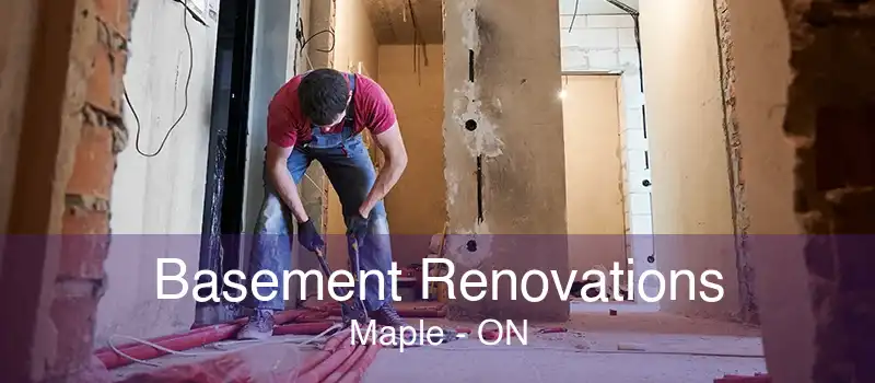 Basement Renovations Maple - ON