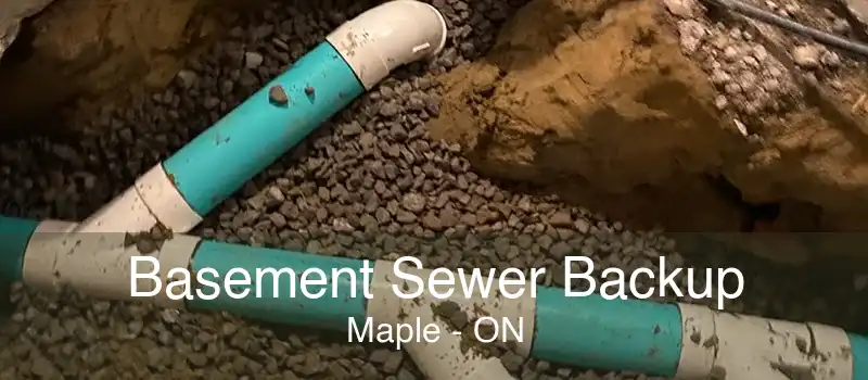 Basement Sewer Backup Maple - ON