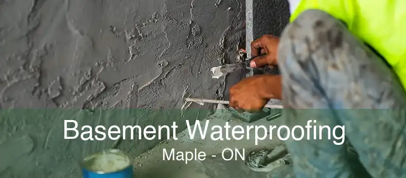 Basement Waterproofing Maple - ON