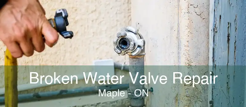 Broken Water Valve Repair Maple - ON