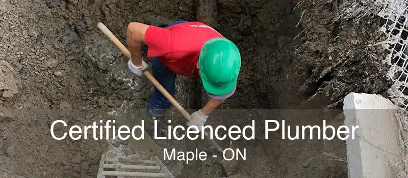 Certified Licenced Plumber Maple - ON