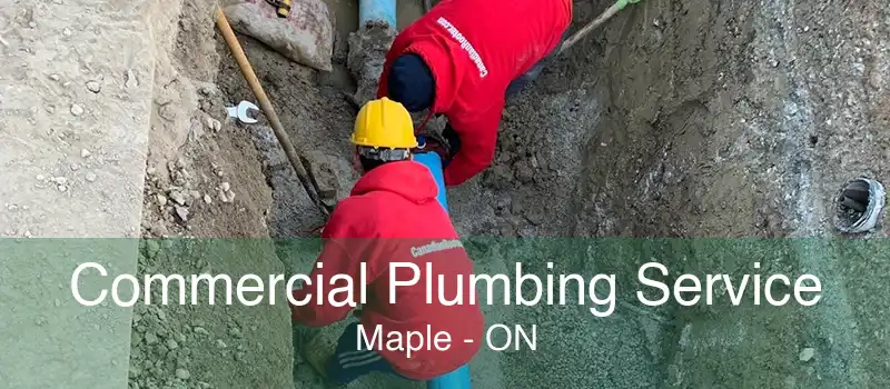 Commercial Plumbing Service Maple - ON