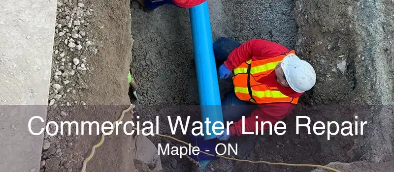 Commercial Water Line Repair Maple - ON