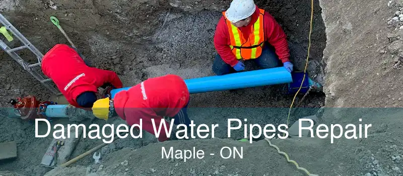 Damaged Water Pipes Repair Maple - ON