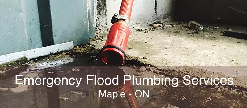 Emergency Flood Plumbing Services Maple - ON