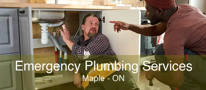 Emergency Plumbing Services Maple - ON