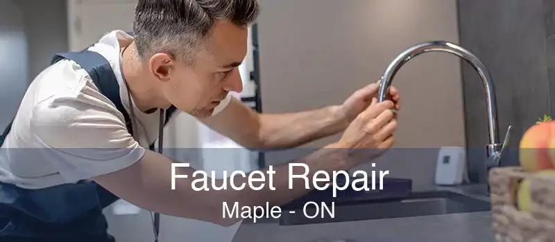 Faucet Repair Maple - ON