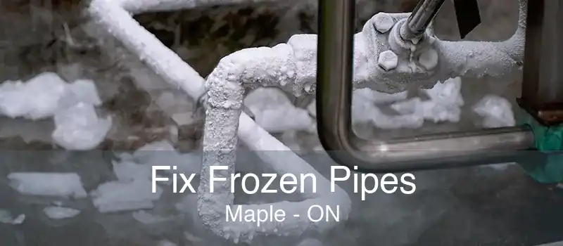 Fix Frozen Pipes Maple - ON