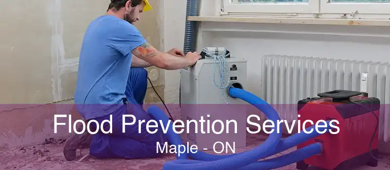 Flood Prevention Services Maple - ON