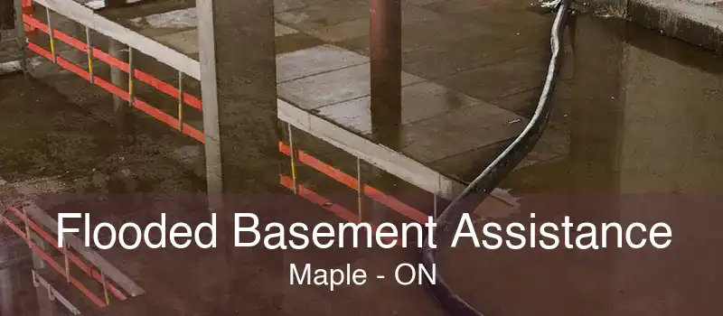 Flooded Basement Assistance Maple - ON