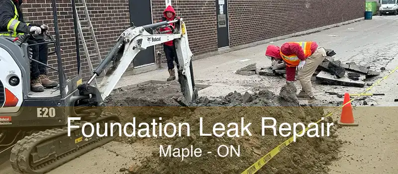 Foundation Leak Repair Maple - ON