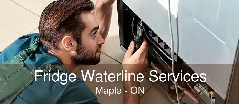 Fridge Waterline Services Maple - ON