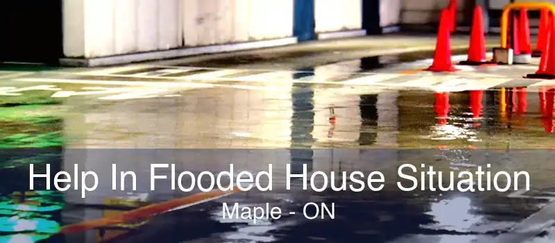 Help In Flooded House Situation Maple - ON