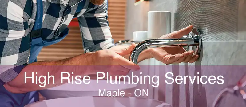 High Rise Plumbing Services Maple - ON