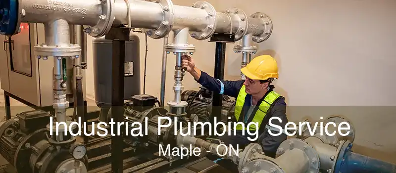 Industrial Plumbing Service Maple - ON