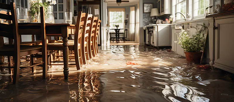 Flooded House Help Near Me in Maple, Ontario