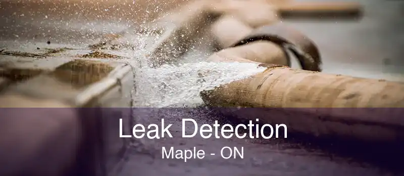 Leak Detection Maple - ON