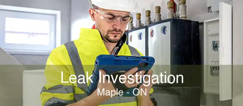 Leak Investigation Maple - ON