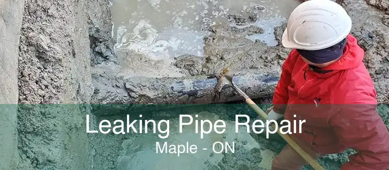 Leaking Pipe Repair Maple - ON