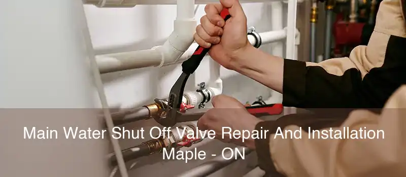 Main Water Shut Off Valve Repair And Installation Maple - ON