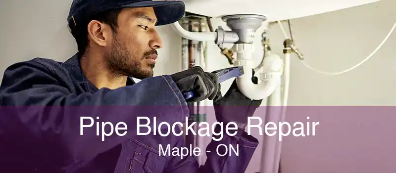 Pipe Blockage Repair Maple - ON