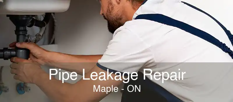 Pipe Leakage Repair Maple - ON