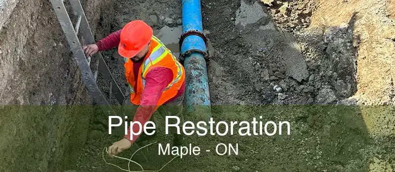 Pipe Restoration Maple - ON