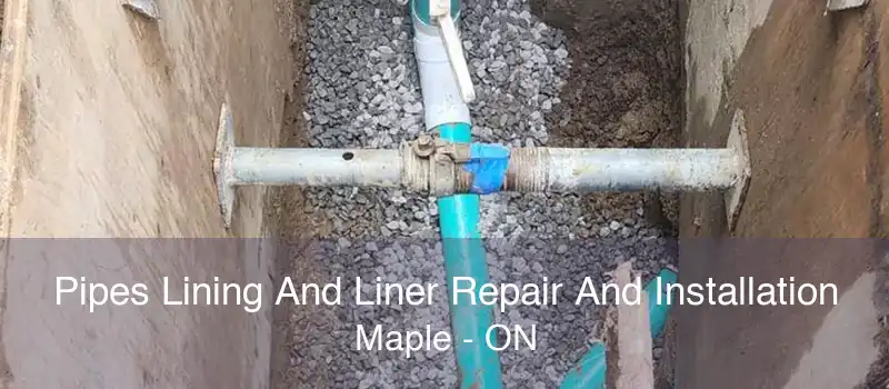 Pipes Lining And Liner Repair And Installation Maple - ON