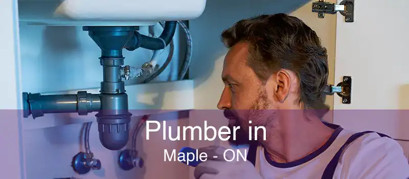 Plumber in Maple - ON