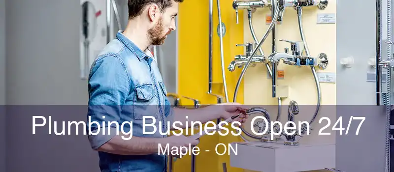 Plumbing Business Open 24/7 Maple - ON