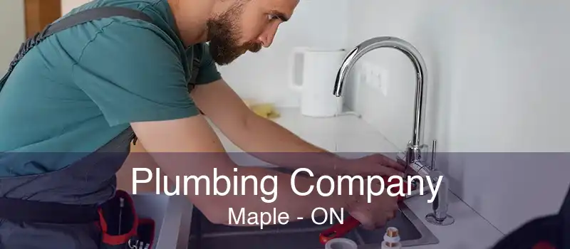 Plumbing Company Maple - ON