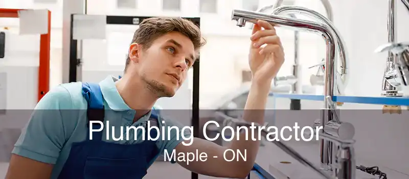 Plumbing Contractor Maple - ON