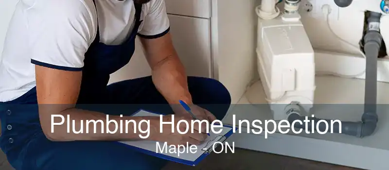 Plumbing Home Inspection Maple - ON