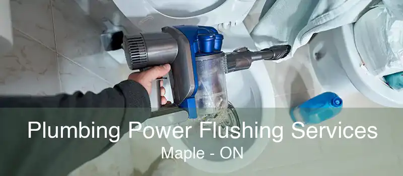 Plumbing Power Flushing Services Maple - ON