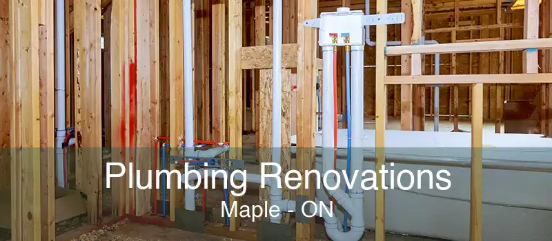 Plumbing Renovations Maple - ON