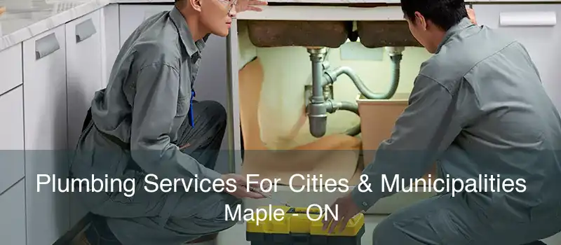 Plumbing Services For Cities & Municipalities Maple - ON