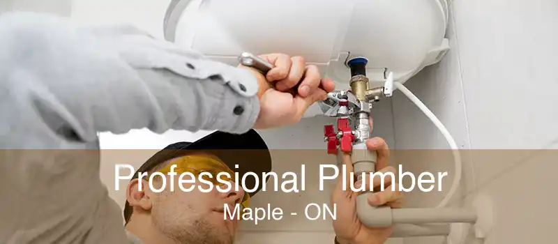 Professional Plumber Maple - ON