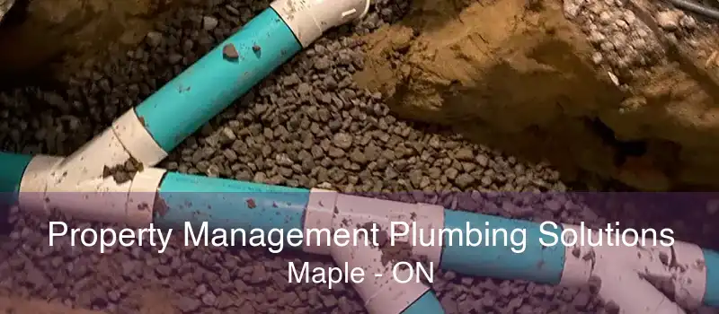 Property Management Plumbing Solutions Maple - ON