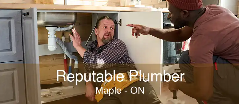 Reputable Plumber Maple - ON