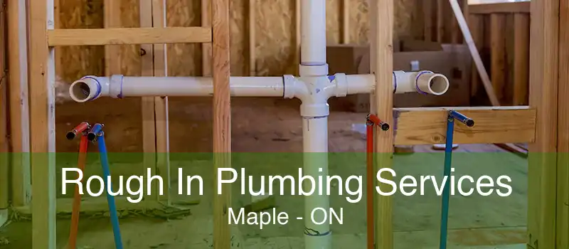 Rough In Plumbing Services Maple - ON