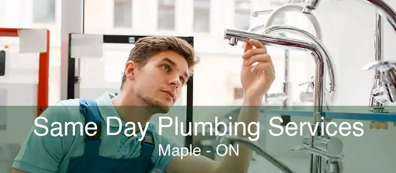 Same Day Plumbing Services Maple - ON