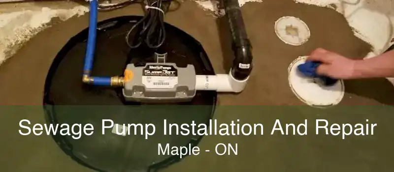 Sewage Pump Installation And Repair Maple - ON