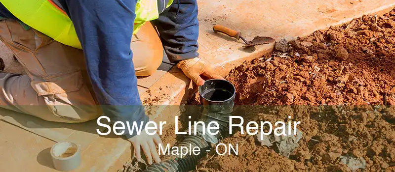 Sewer Line Repair Maple - ON