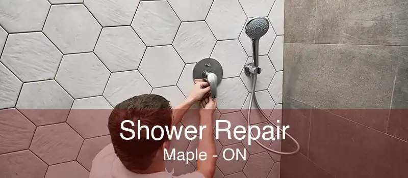 Shower Repair Maple - ON