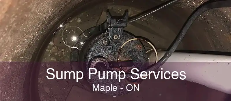 Sump Pump Services Maple - ON