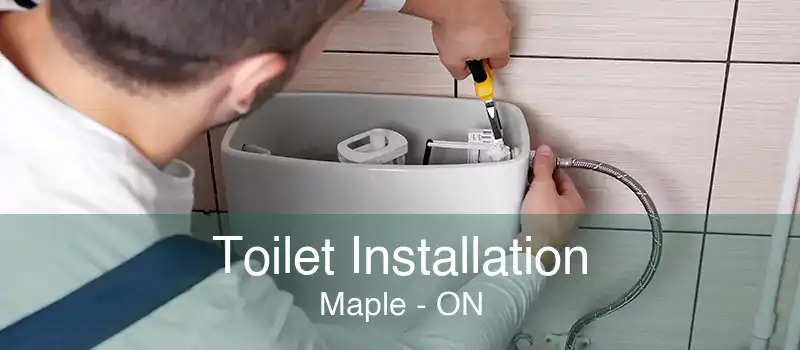 Toilet Installation Maple - ON